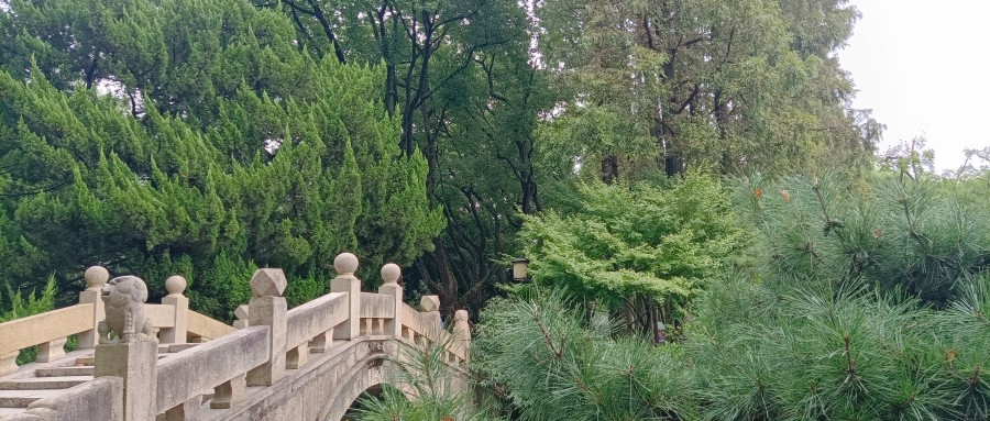 图片关键词公司律师,合同律师,刑事律师,股权律师