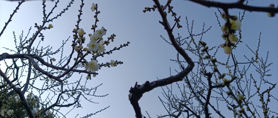 图片关键词公司律师,合同律师,刑事律师,股权律师